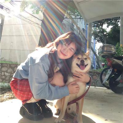 日租男友是豪门